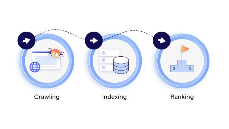 Google search process illustration showing crawling, indexing, and ranking for SEO beginners.